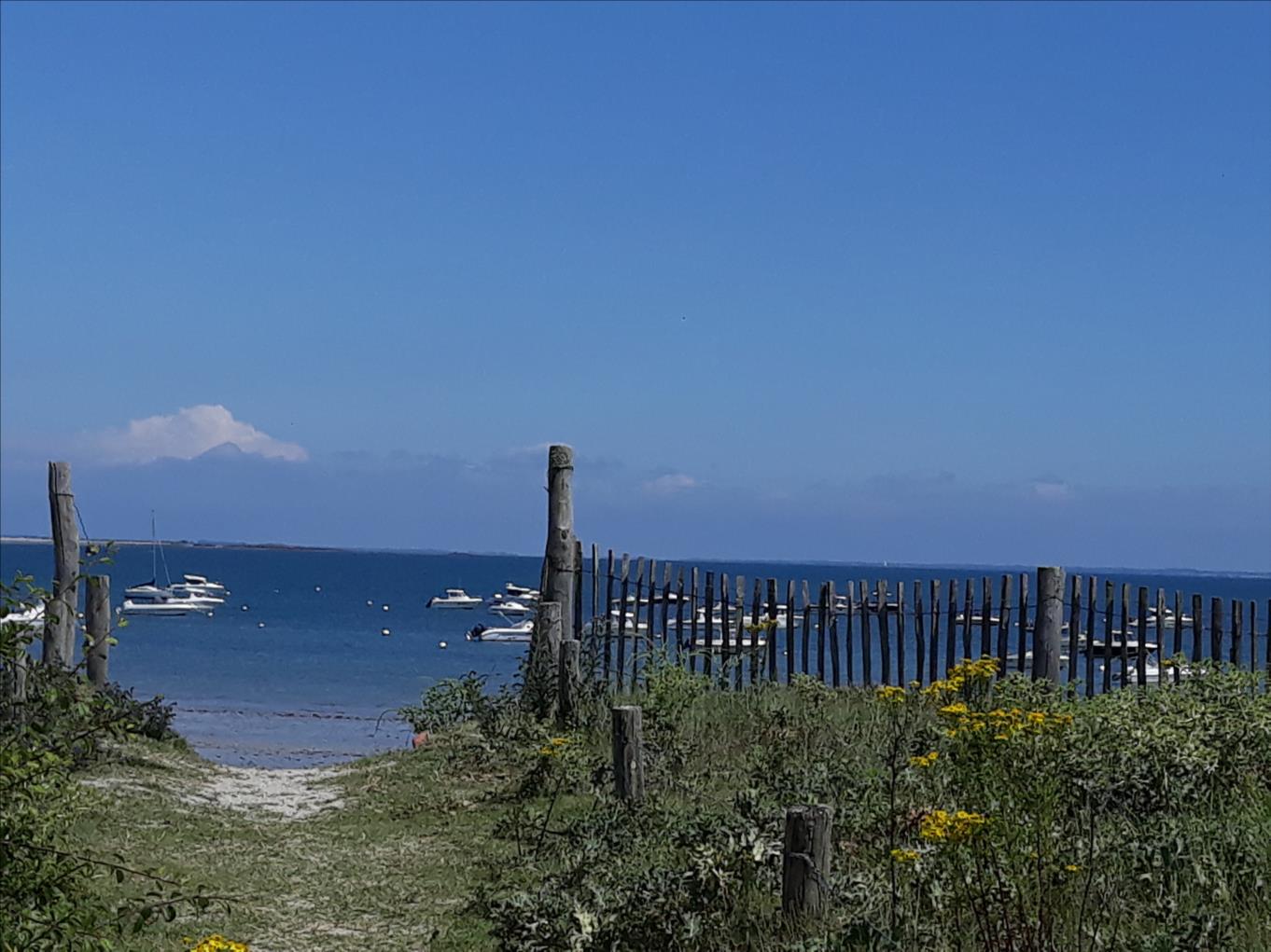 plage suscinio