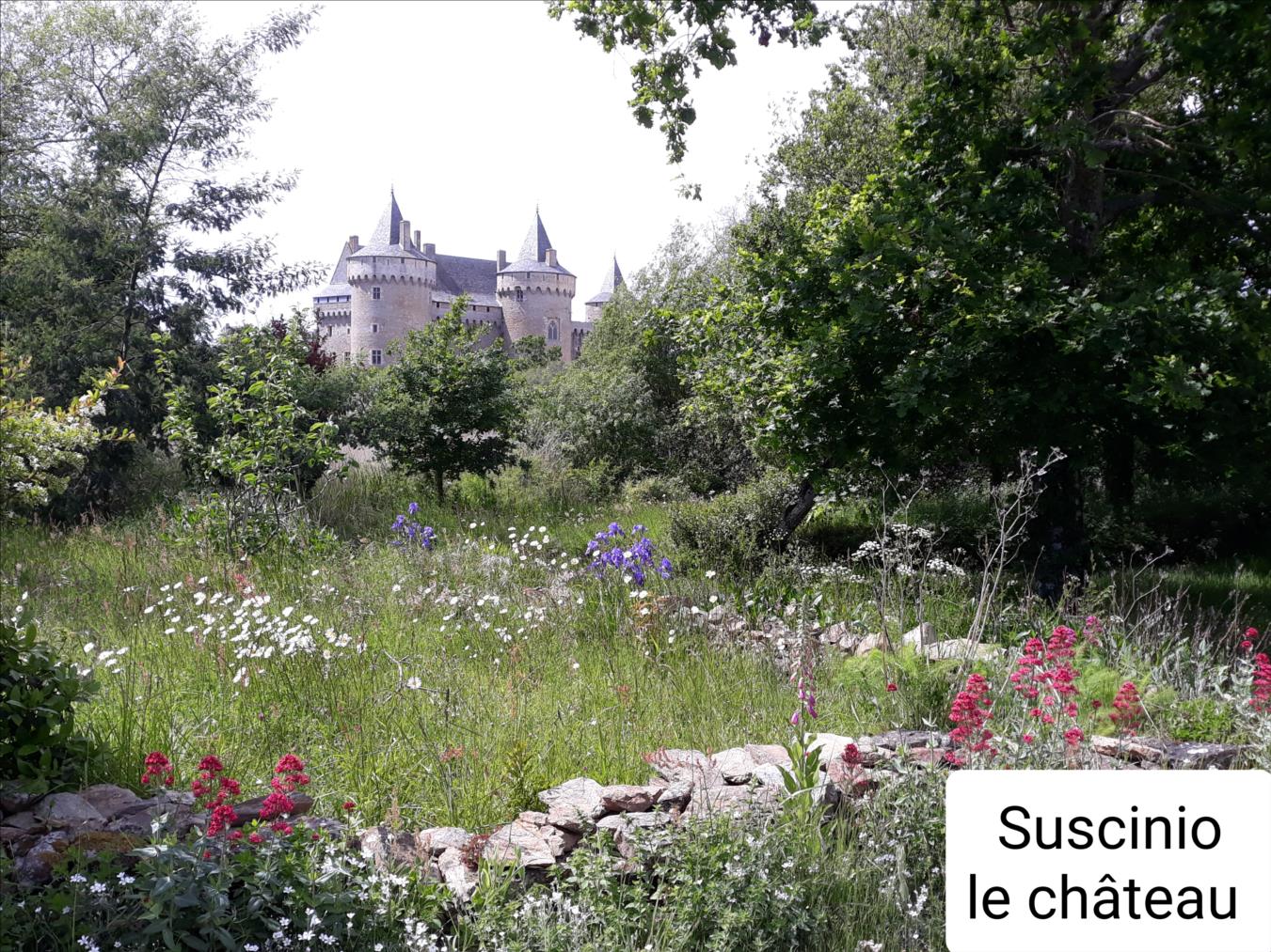 Château Suscinio